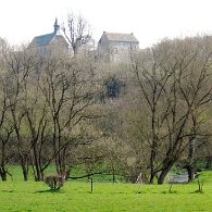 IMG_5682